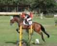 O Caxangá sedia a 1ª Etapa do Circuito N/NE de Hipismo